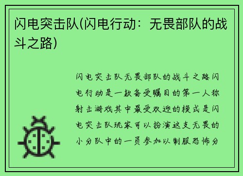 闪电突击队(闪电行动：无畏部队的战斗之路)